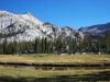 Horse Thief Meadows - Photo by Suzanne 