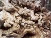 Gnarled and Twisted Tree Roots - Photo by Matthew 