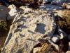 We found this circle of rocks with a cross in the middle at the top of a cliff while we were hiking across country. Daddy thought it was a grave, and I wondered if someone had worshiped something there. - Photo by Matthew 
