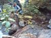 Creek Crossing - The water was really low this time compared to what it was when we tried to cross in July. 