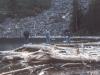 Fishing off the logjam. 