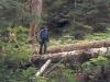 Obstacles in the trail. 
