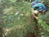 The last climb before the creek. 