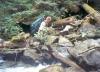 Crossing the creek. 