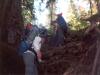 Another root climb. (There are some pretty impressive waterfalls in this area. Please see our pictures from last year to view these falls.) 