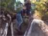 Michael navigating another root climb. 
