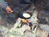 Bannock pan cakes! 