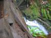 Water running out of Lower Main Cave. 